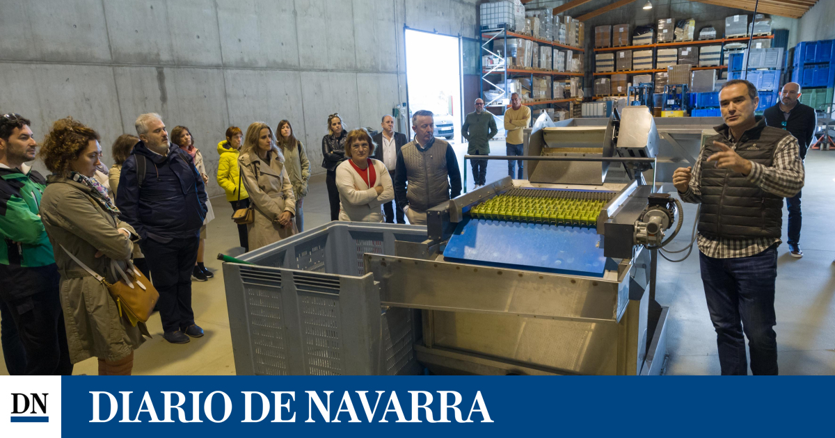 Hacienda Queiles Abre Sus Puertas A Visitas Guiadas Y Catas De Aceite