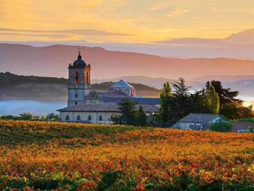 De las primeras uvas a la denominación de origen en Navarra