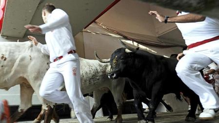 Imágenes del segundo encierro de los Sanfermines 2011 protagonizado por toros de la ganadería Cebada Gago.