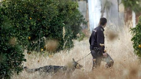 Tras su desaparición el pasado 8 de octubre, los hermanos Ruth y José, de seis y dos años respectivamente, continúan en paradero desconocido. La Policía Nacional los busca desde ese día, y el pasado lunes reinició un rastreo a fondo en la finca de los abuelos paternos de los niños en Córdoba.