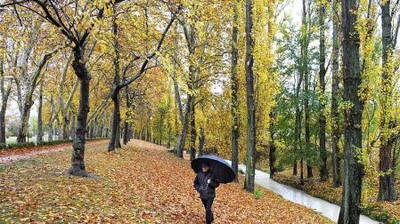 Navarra activa el Plan de Inundaciones en nivel de preemergencia por las lluvias