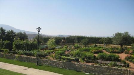Huerta ecológica en el Parque de los Sentidos de Noáin. 	DN