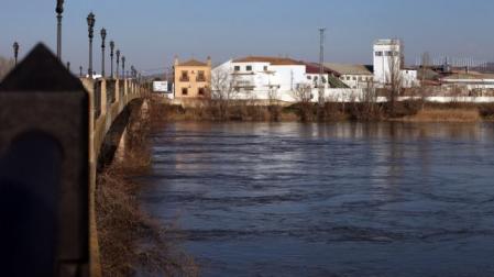 Imagen de la empresa desde el puente del Ebro de Tudela. 	NURIA G. LANDA