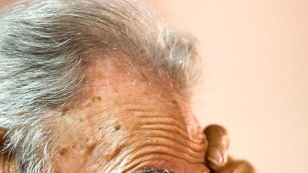 Fidel Castro se re&uacute;ne durante nueve horas con intelectuales