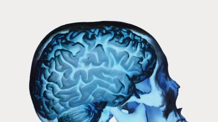 Te amo con todo mi cerebro