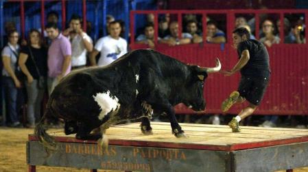 Muere "Rat&oacute;n", el toro m&aacute;s famoso de Espa&ntilde;a