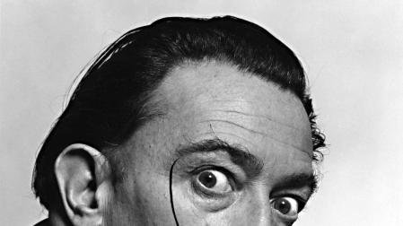 Un libro cuenta la aventura del nacimiento de Dal&iacute;