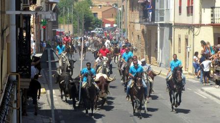 Ruta de trashumancia en Cascante