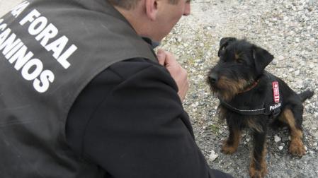 De mascota a perro policía