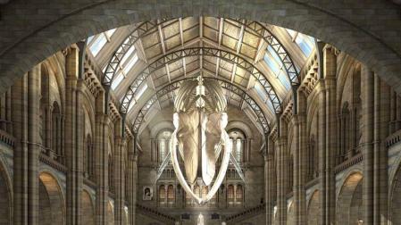 Una gran ballena, en la entrada del Museo de Historia Natural