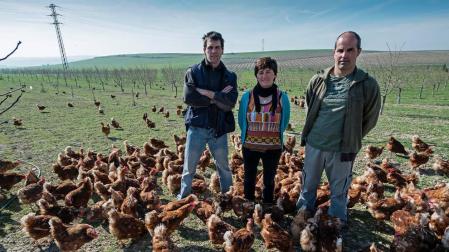 Una sociedad de avicultura alternativa lanza una marca de huevos navarros