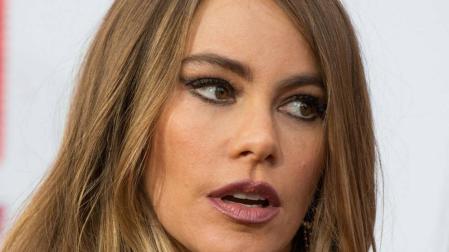 El exnovio de Sofía Vergara solicita sus embriones