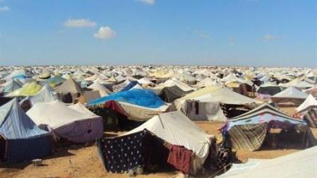 El derecho de autodeterminación del Sahara acapara el apoyo autonómico