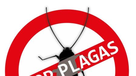 La "reina" de las plagas es la de las cucarachas