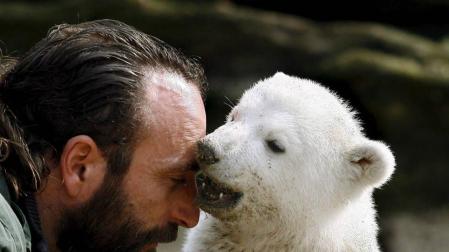 La muerte más humana del oso polar 'Knut'