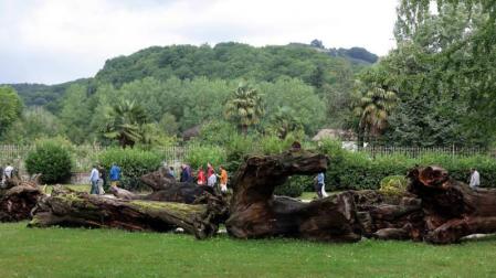 76.000 peronas visitaron el Parque Natural de Bertiz en 2014