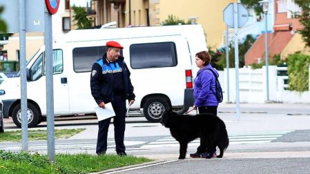Alerta en Alsasua por la aparición en dos días de ocho perros envenenados
