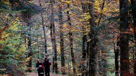 Importante recuperación de los indicadores de rentabilidad del sector hotelero de Navarra durante el pasado verano