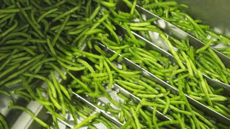 Derribando mitos sobre las verduras ultracongeladas
