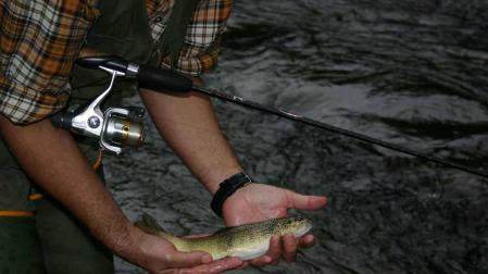 Asociaciones de pescadores critican la nueva normativade pesca de trucha salvaje