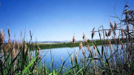El embalse de las Cañas y la Estanca de los Dos Reinos, zonas de especial conservación
