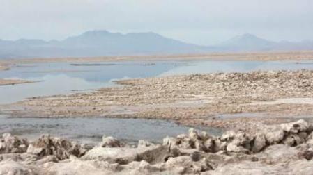 Quillagua, el pueblo más seco del mundo, crece en medio de un extraño oasis