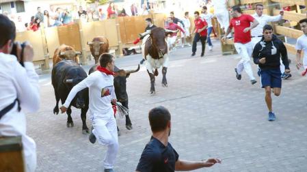 Rápido encierro en Tudela