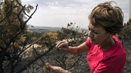 Imágenes de la superficie afectada por el incendio en la Zona Media.