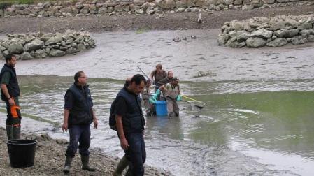 Desde un siluro hasta esquís, la 'fauna' hallada en el lago de Mendillorri