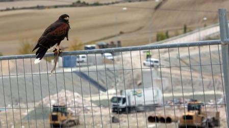 Un vertedero “pequeño” en la Comarca podría relevar a Góngora a partir de 2022