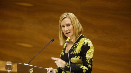 Beltrán (PPN) dice que el primer año del Gobierno "ha sido el del retroceso"