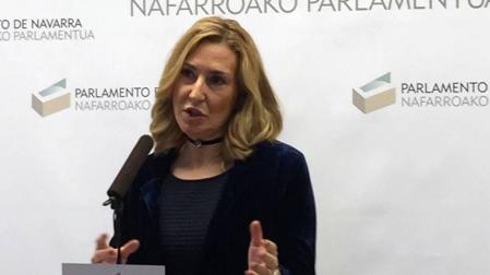 Proposición del PPN para "proteger el derecho de las embarazadas a ser madres"