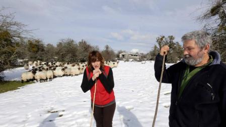 Idoia Jiménez de Vicuña y Carlos Aramendía, el viernes, con sus ovejas el paraje Arratondo de Urbasa, a 898 metros de altitud. La sierra suma 11.400 hectáreas y Dulanz es su cima más alta (1.240 m).