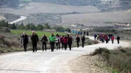 Javierada. Los peregrinos de la Ribera almuerzan en el yugo y atraviesan las Bardenas, camino de Javier