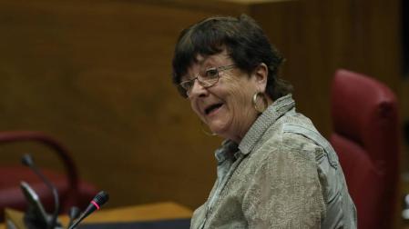 Podemos e I-E se descuelgan de la ley policial del Gobierno foral
