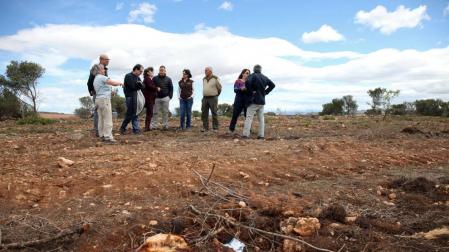 Los pinos talados en Tudela eran “artificiales” y no cumplían su función
