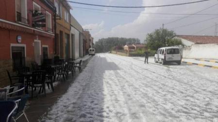 La tormenta de granizo deja un reguero de daños en colza y cereal