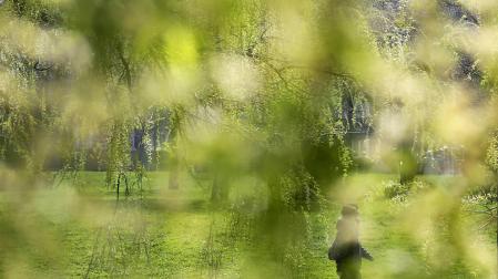Miércoles soleado con algunas nieblas matinales en Navarra