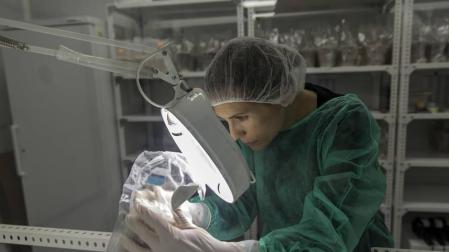 Gurelan pone en marcha una inversión de 1,2 millones para semillas de hongos