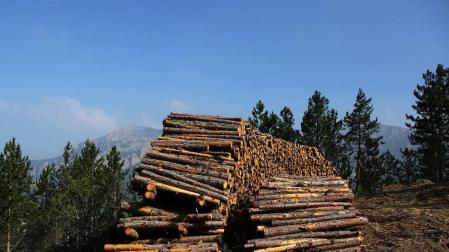 Tocar madera