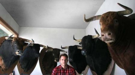 Un taxidermista navarro pone a la venta 6 cabezas de toro en tributo a Víctor Barrio