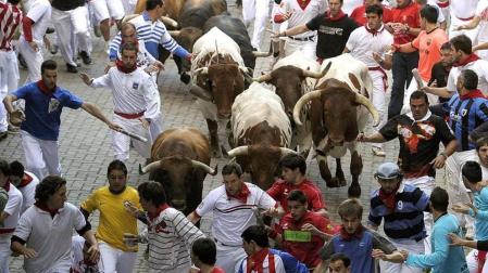 Los toros de Núñez del Cuvillo vuelven tras 5 años de ausencia