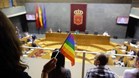 El Parlamento de Navarra aprueba una ley de igualdad del colectivo LGTBI+