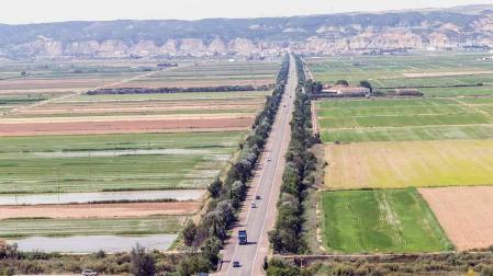 Tudela y Arguedas estudian utilizar murciélagos contra los mosquitos