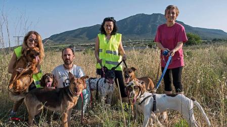 Egapeludos ha ofrecido un cobijo temporal a 60 perros en el nuevo refugio