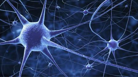 Un navarro en el mayor almacén de neuronas del mundo