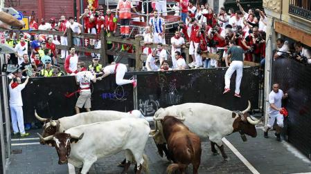 Los Cebada Gago, una ganadería con pura sangre para el primer encierro