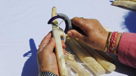 Fiesta del esparrago en la plaza del Castillo