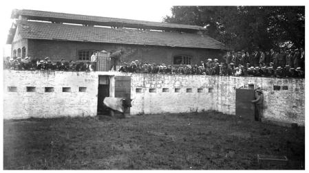 De dónde les viene el nombre a los Corrales del Gas