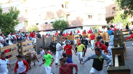 Rápido y limpio segundo encierro en las fiestas de Tudela